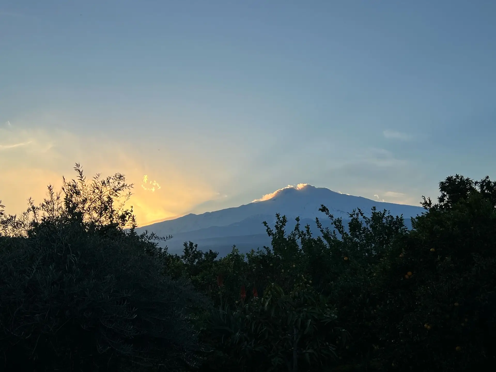 View of mount Etna in Sicily from the garden of BellaLimone